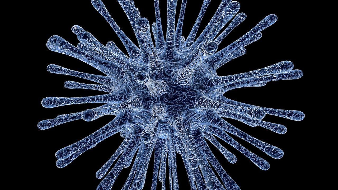 Das Virus - was ist das?