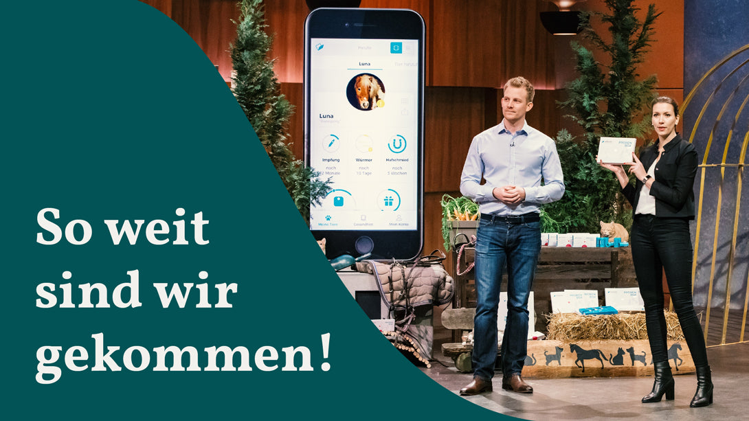 Ein Jahr nach der Show: Unser Rückblick mit Mareile & Felix