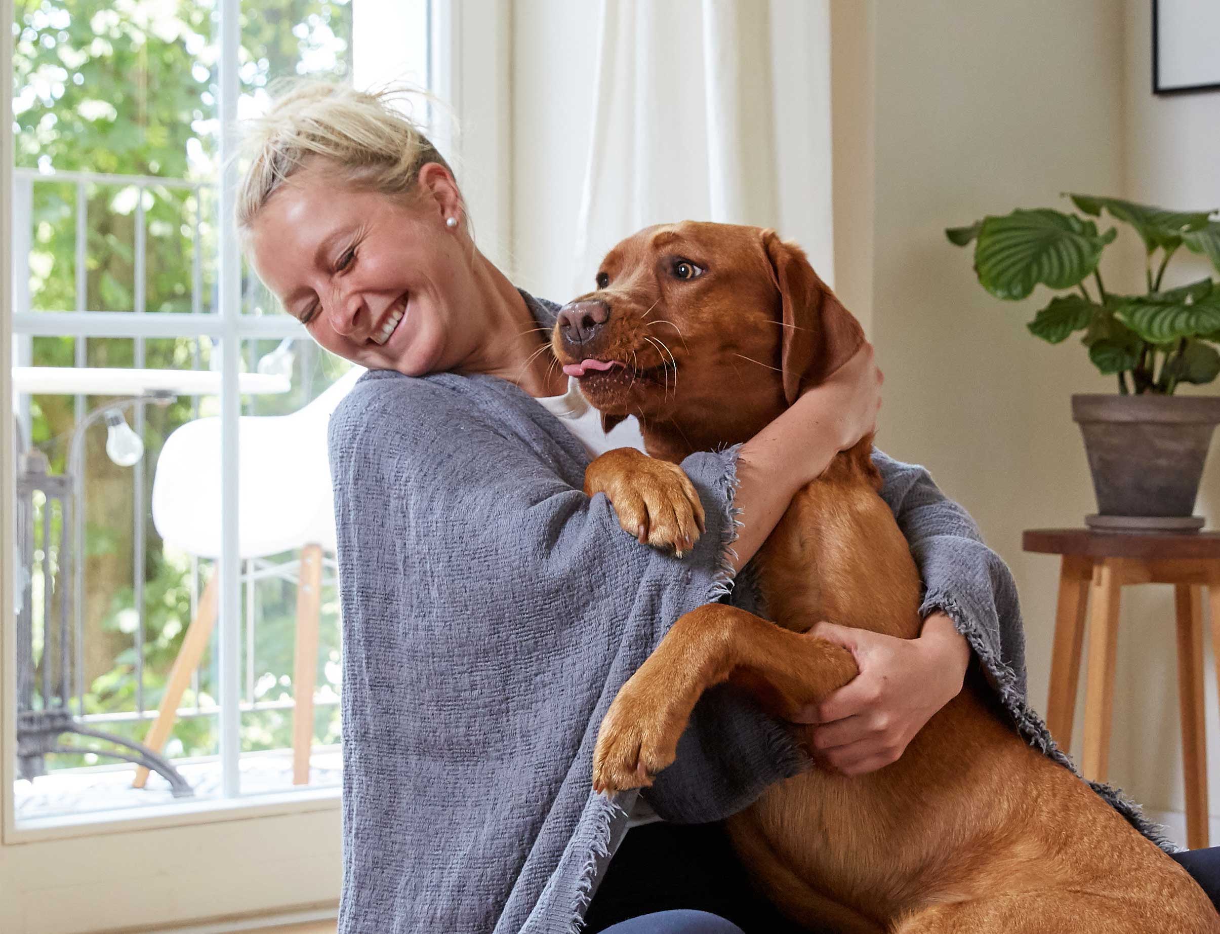 Die Körpersprache der Hunde richtig deuten
