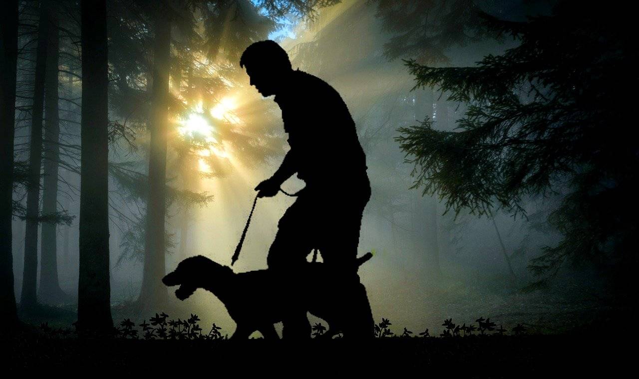 Spaziergang mit dem Hund - mit Halsband oder Geschirr?