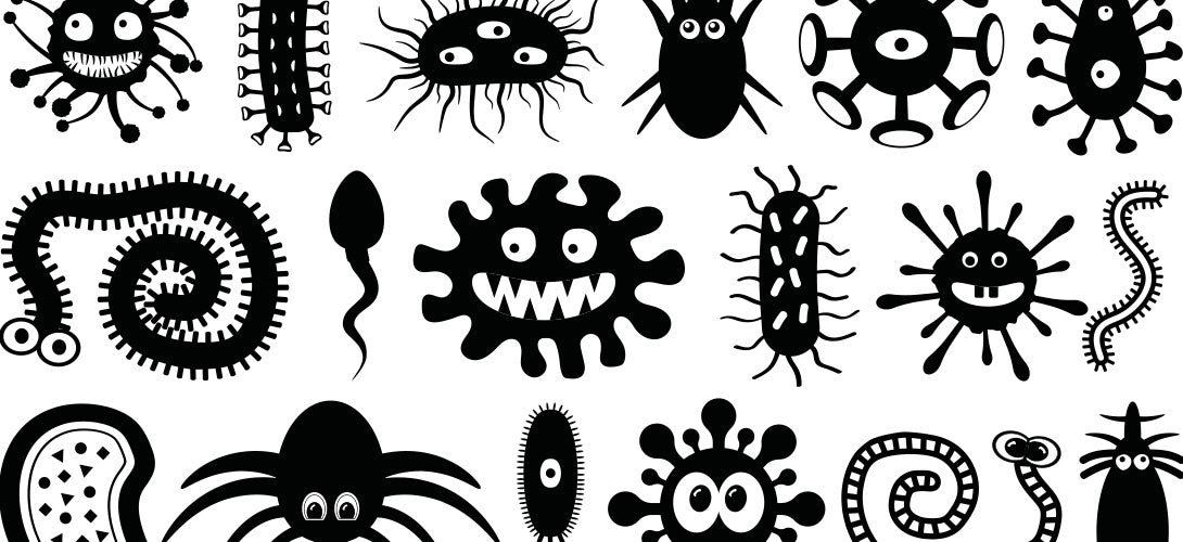 Parasitenschutz beim Welpen und Junghund