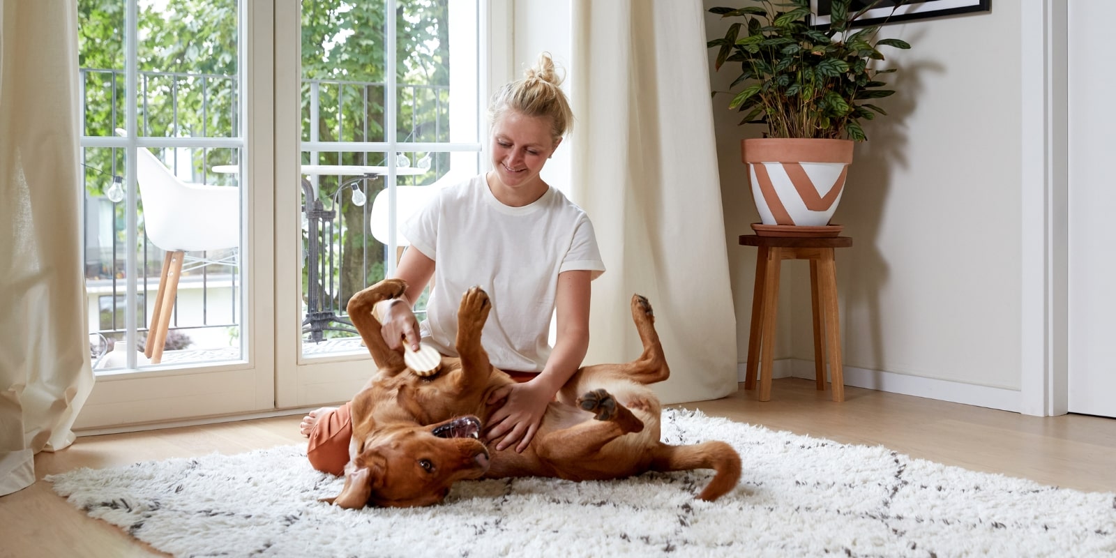 secondary banner image