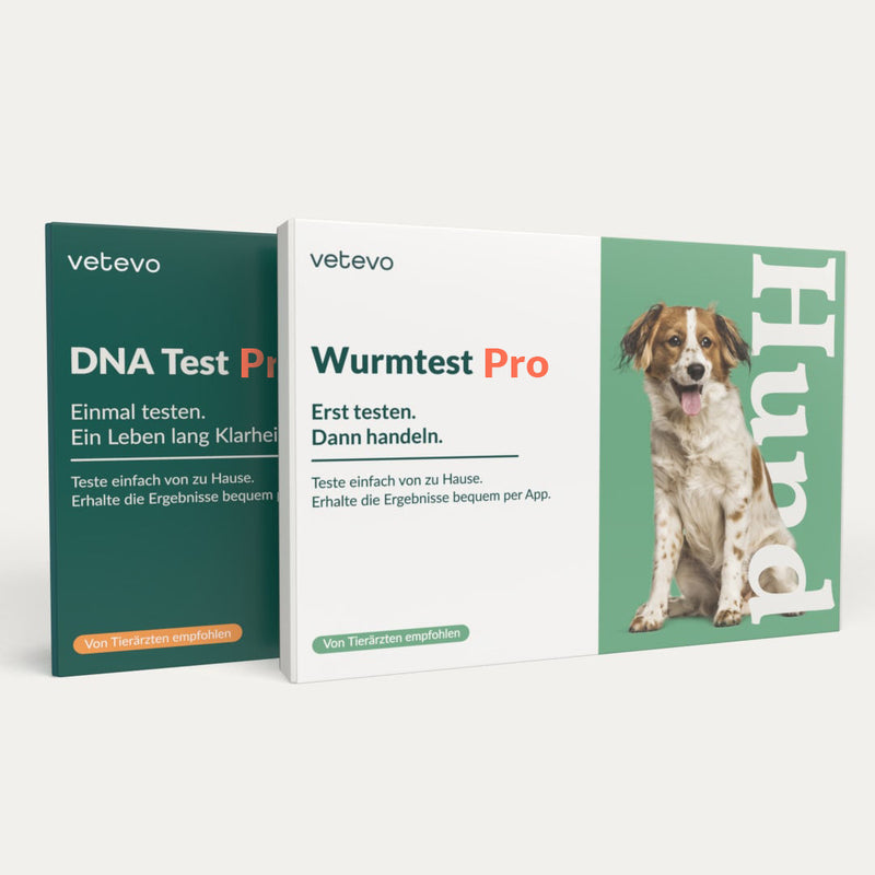 2in1 Analyse DNA Test Rassebestimmung & Wurmtest Pro Hund
