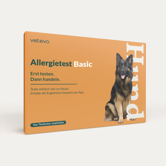 Allergietest Basic Hund