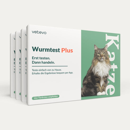 Wurmtest Plus Katze Jahrespaket