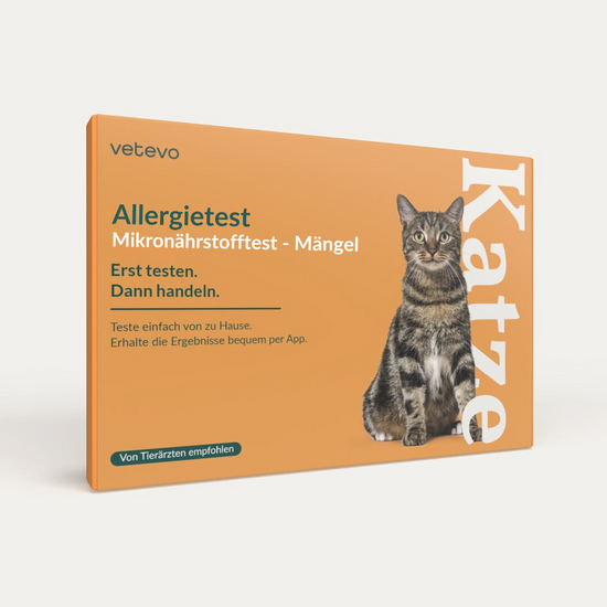 Mikronährstofftest - Mängel Katze