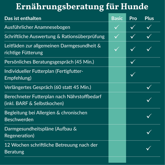 Ernährungsberatung Basic Hund