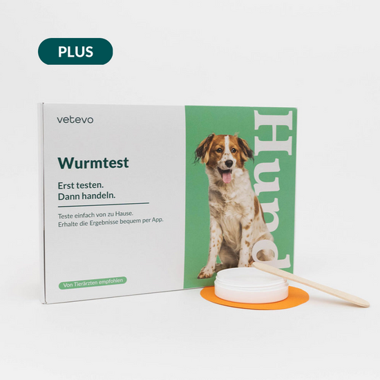 Wurmtest Plus Hund