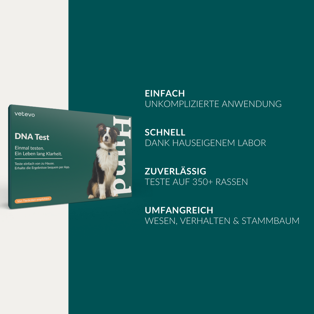 DNA Test Rassebestimmung & Erbkrankheiten Hund