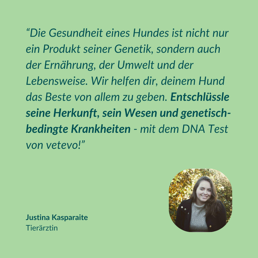 DNA Test Rassebestimmung Basic Hund