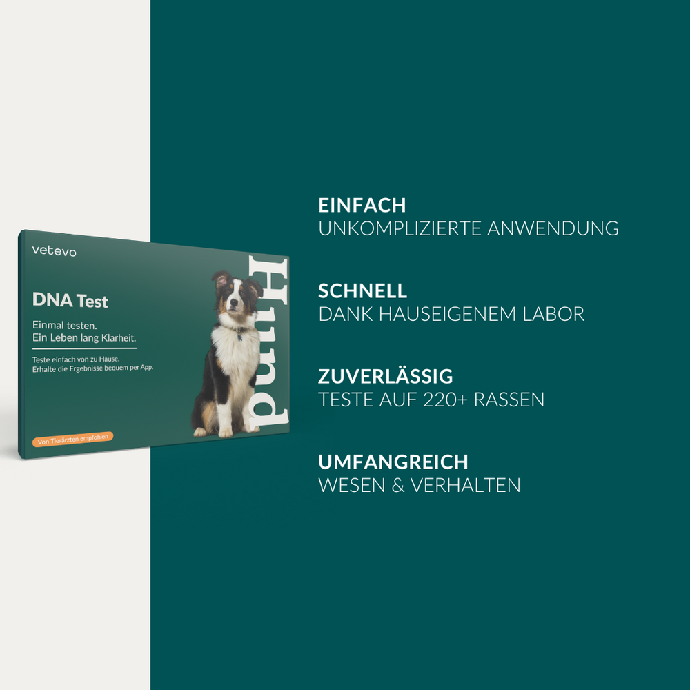 DNA Test Rassebestimmung Basic Hund