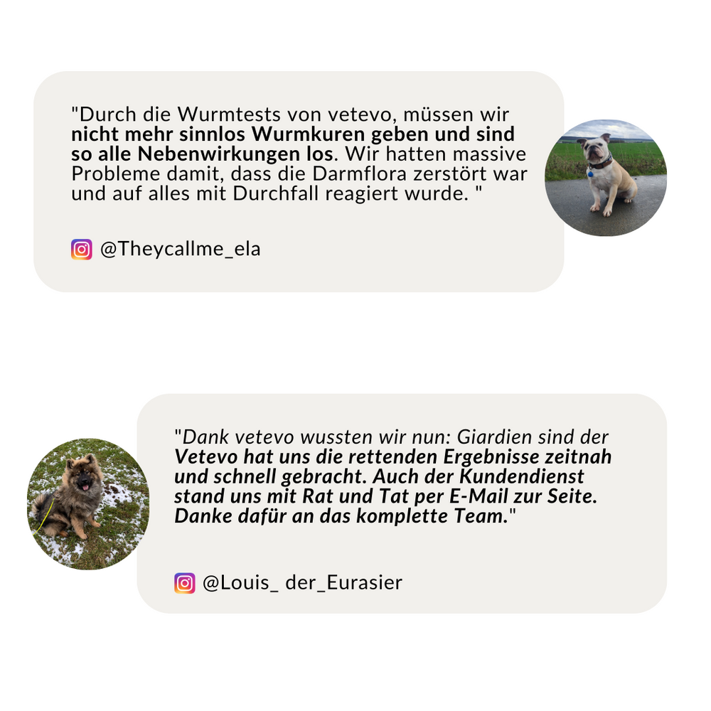 Unsere flauschigen vetevo Fans. 