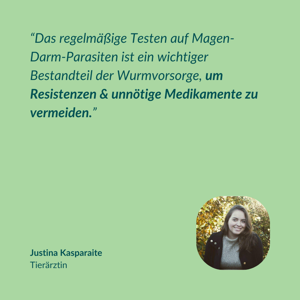 Das sagen Experten zu dem vetevo Wurmtest.