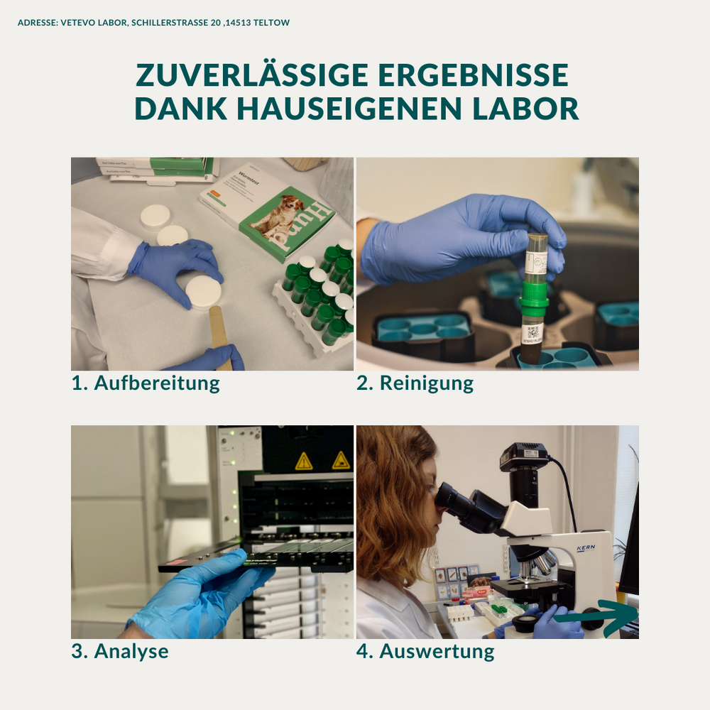Unser hauseigenes Labor in Teltow-Brandenburg
