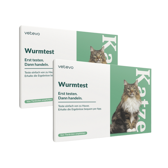 Wurmtest Pro Katze