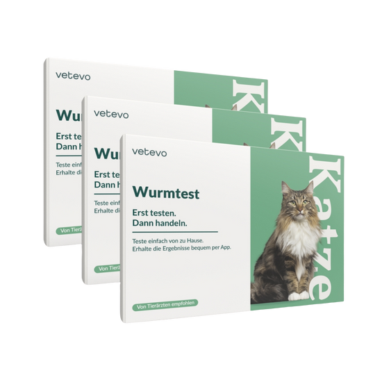 Wurmtest Pro Katze