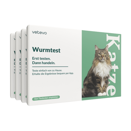 Wurmtest Pro Katze