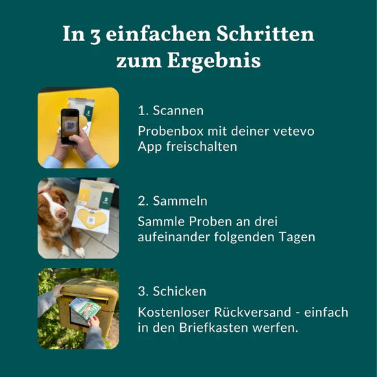 Allergietest Basic & Wurmtest Pro Hund