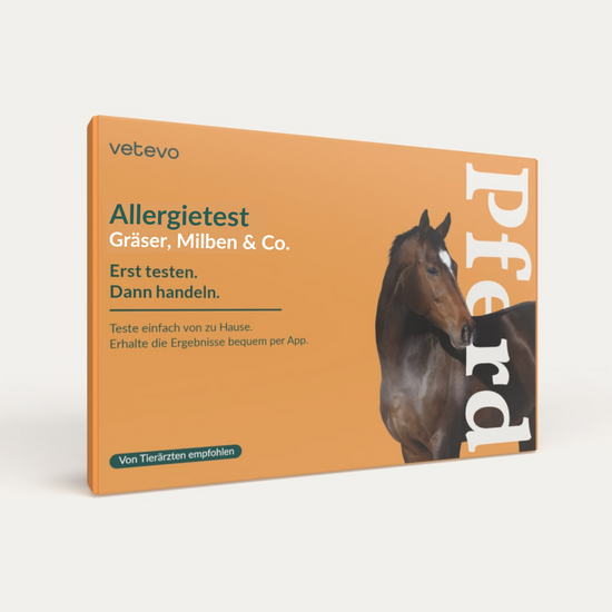 Eine Allergietest - Gräser, Milben & Co. Pferd Probenbox mit abgebildetem Pferd.