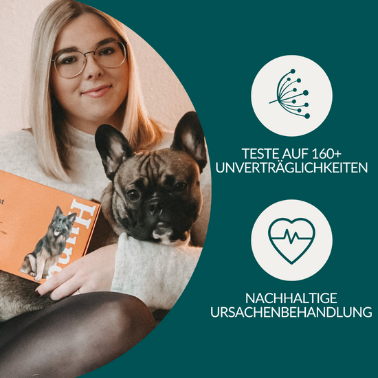 Allergietest Basic Hund