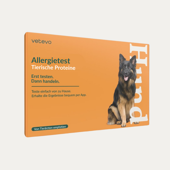 Allergietest - Tierische Proteine Hund