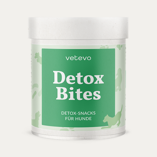 Detox Bites