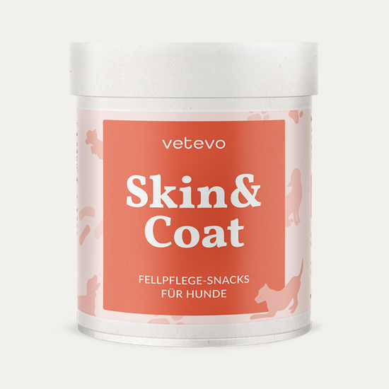 Skin & Coat Bites