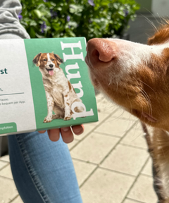 Eine Person hält einen Wurmtest für Hunde und davor sitzt ein Hund.