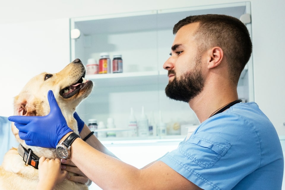 secondary banner image