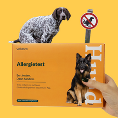 Product card image