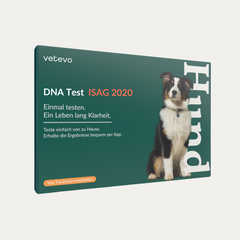 Product card image