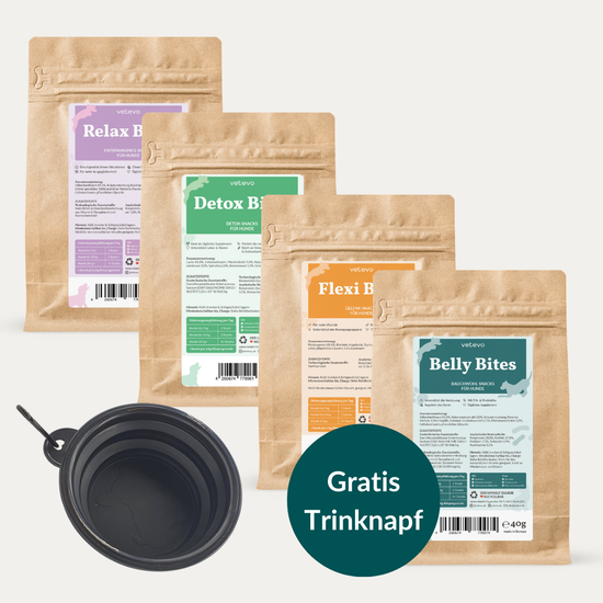 Bites Starter Set