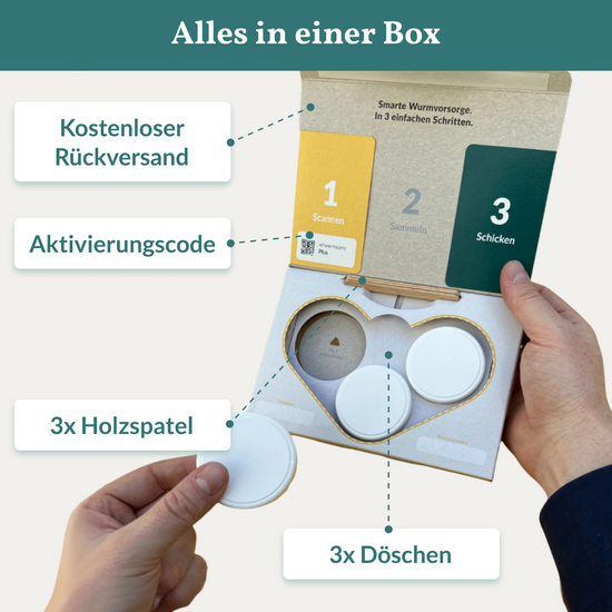 Abbildung der vetevo Wurmtest-Probenbox, Erläutertung was enthalten ist