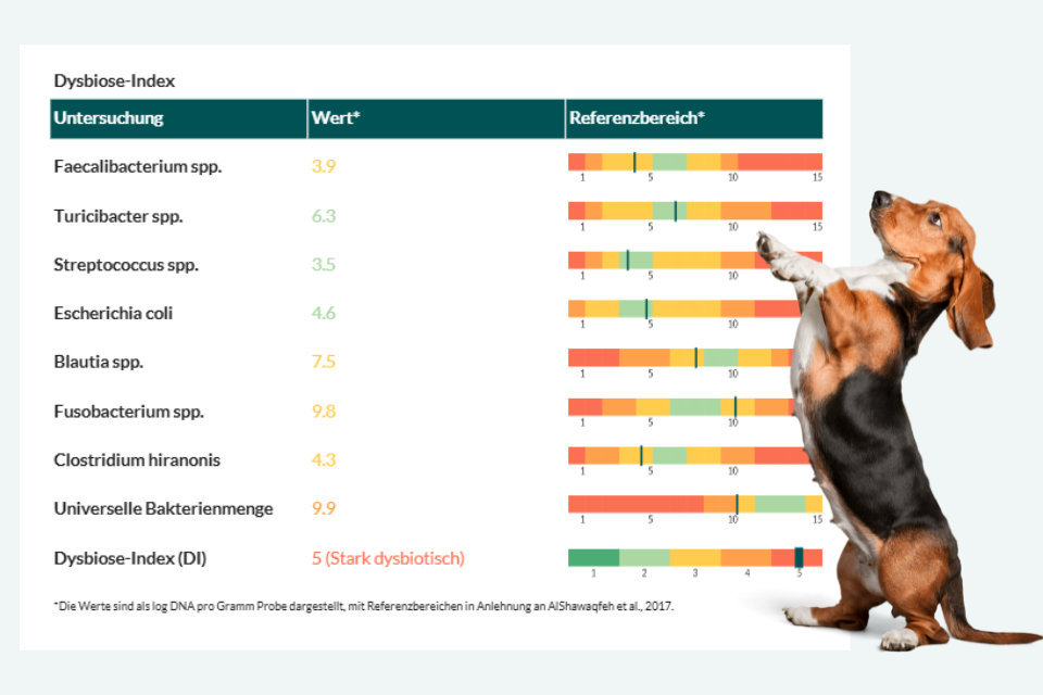 secondary banner image