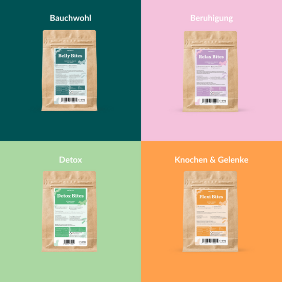 Bites Starter Set