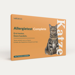 Product card image