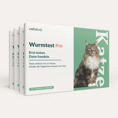 Product card image