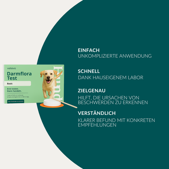 Darmflora Test Hund