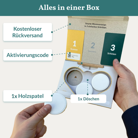 Darmflora Test Hund