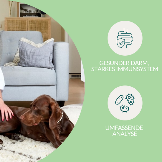 Darmflora Test Hund