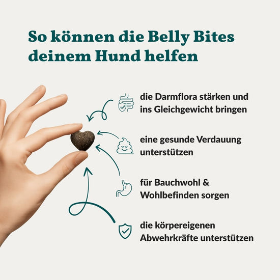 Belly Bites 2.0