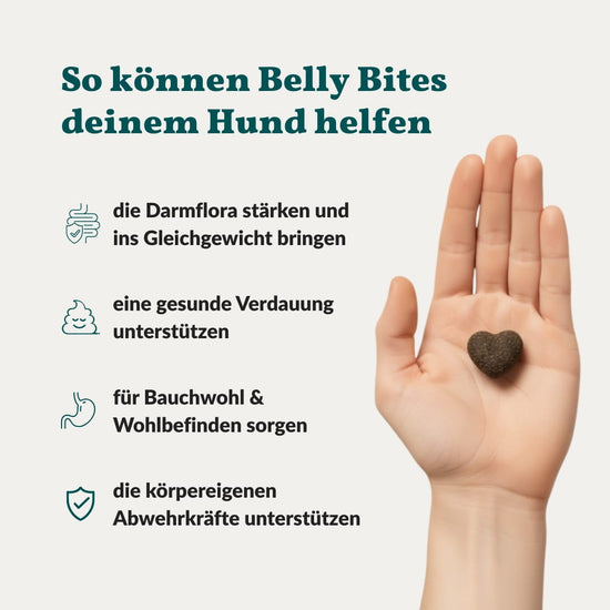 Belly Bites 2.0