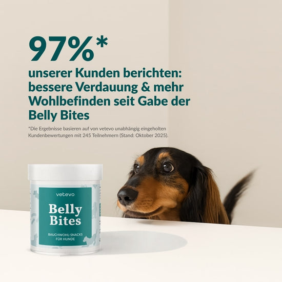 Belly Bites 2.0
