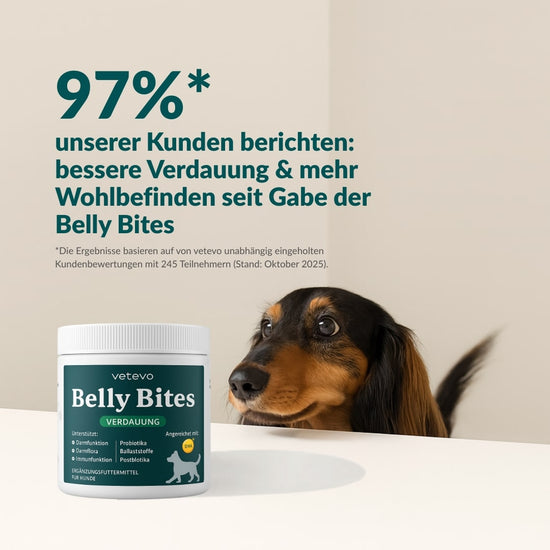 Belly Bites 2.0