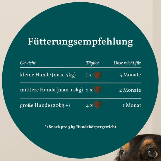 Belly Bites 2.0