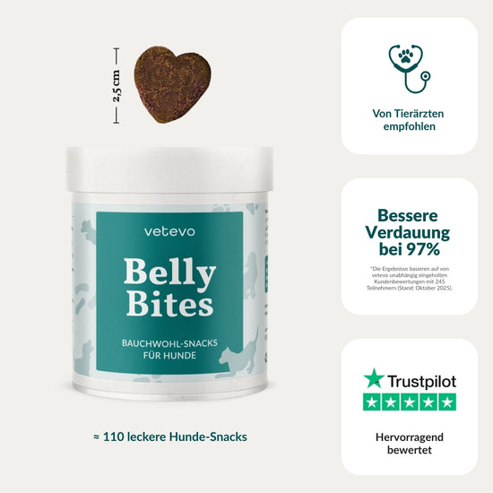 Belly Bites 2.0