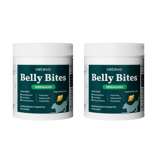 Belly Bites 2.0