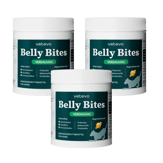 Belly Bites 2.0