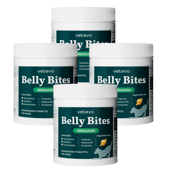 Belly Bites 2.0