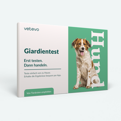 Product card image